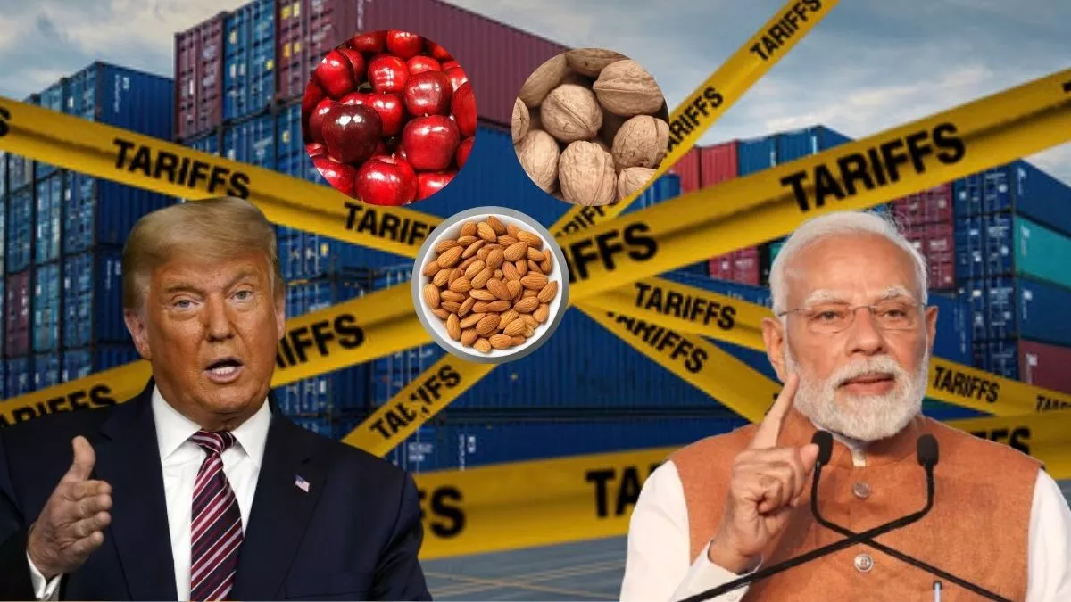 What India Imports from USA – कैलिफोर्निया बादाम, व्हिस्की, पैकेज्ड फूड्स, और चॉकलेट्स